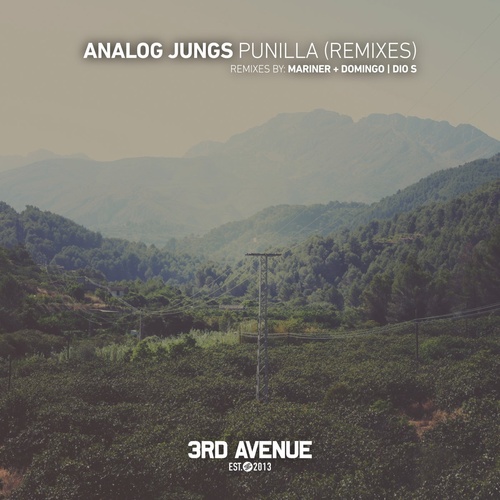 Analog Jungs - Punilla (Remixes) [3AV233]